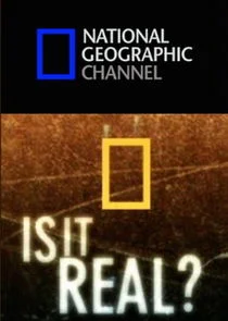 Is It Real?