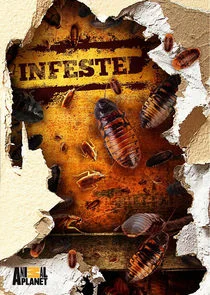 Póster de Infested!