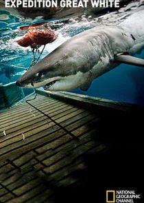 Pôster de Expedition Great White