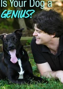 Pôster de Is Your Dog a Genius?