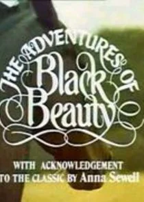 Poster di The New Adventures of Black Beauty