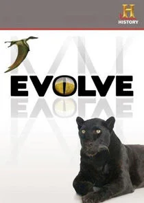 Póster de Evolve