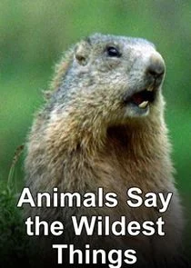 Pôster de Animals Say the Wildest Things