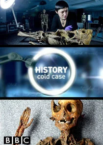 History Cold Case poster