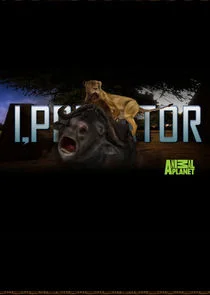 Pôster de I, Predator