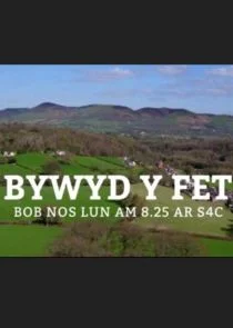 Pôster de Bywyd y Fet