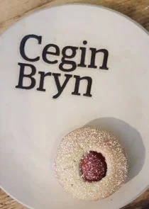 Póster de Cegin Bryn