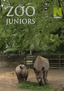 Pôster de Zoo Juniors