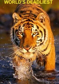 Póster de Los animales más peligrosos del mundo