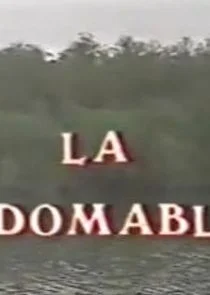 Affiche de La Indomable