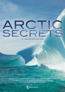 Póster de Arctic Secrets