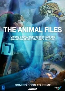 Poster di The Animal Files