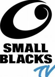 Póster de Small Blacks TV