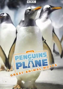 Poster di Penguins on a Plane: Great Animal Moves