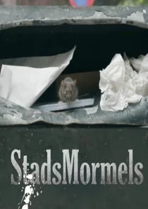 Pôster de Stadsmormels