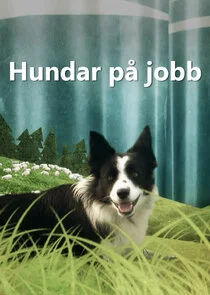 Pôster de Hundar pÄ‚Ä„ jobb