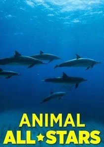 Pôster de Animal All-Stars
