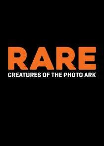 Affiche de Rare: Creatures of the Photo Ark