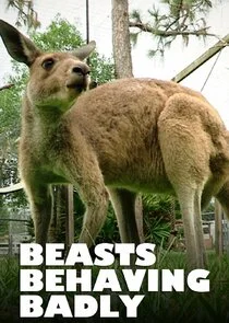 Poster di Beasts Behaving Badly