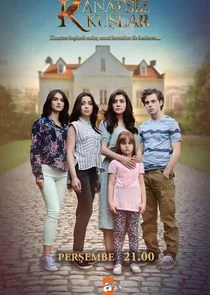 KanatsĂ„Â±z KuÄąĹşlar