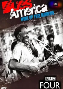 Póster de Blues America