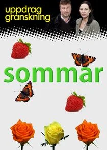 Affiche de Uppdrag granskning sommar