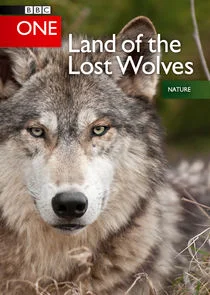 Pôster de Land of the Lost Wolves