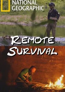 Póster de Remote Survival
