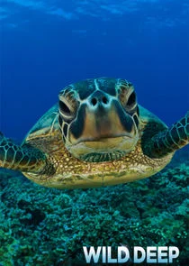 Pôster de Wild Deep