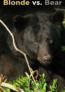 Pôster de Blonde vs. Bear