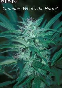 Cannabis: What's the Harm?