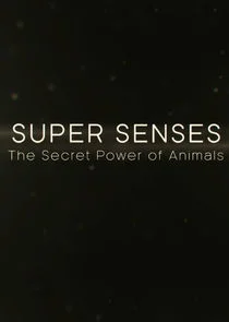 Super Senses: The Secret Power of Animals