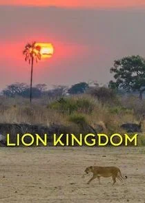 Póster de Territorio de leones