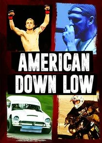American Down Low afişi
