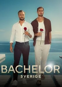 Bachelor Sverige poster