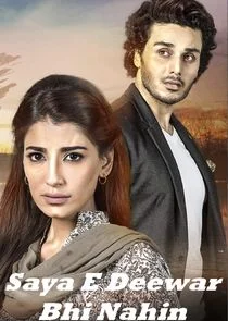 Plakat Saya-E-Deewaar Bhi Nahin
