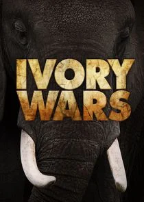 Poster di Ivory Wars