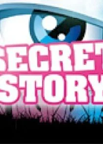Secret Story afişi