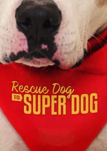 Rescue Dog to Super Dog afişi