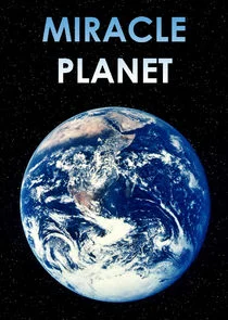 La Planète miracle (2005)