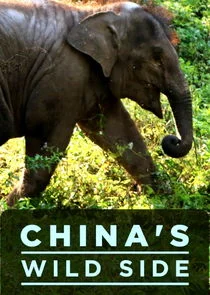 Póster de El lado salvaje de China
