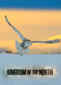 Póster de Kingdom of the North