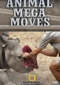 Póster de Animal Mega Moves