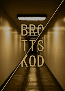 Póster de Brottskod