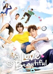 A Love So Beautiful