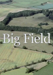 Póster de Big Field