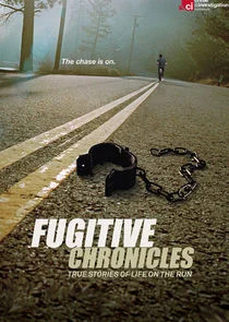 Poster di Fugitive Chronicles