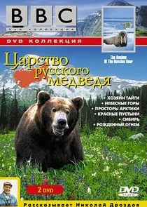 Realms of the Russian Bear poster