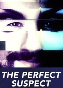 The Perfect Suspect Poster