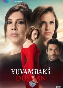 Yuvamdaki DÄ‚Ä˝ÄąĹşman